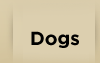 Dogs