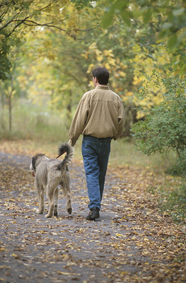 dog friend
