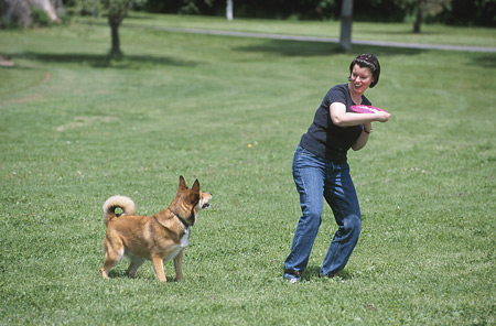 healthy dog fun