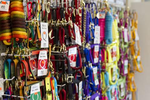 Dog Accessories